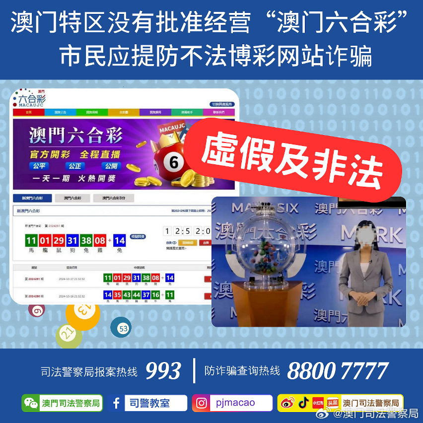 2024新澳门管家婆正版资木车,定性评估解析