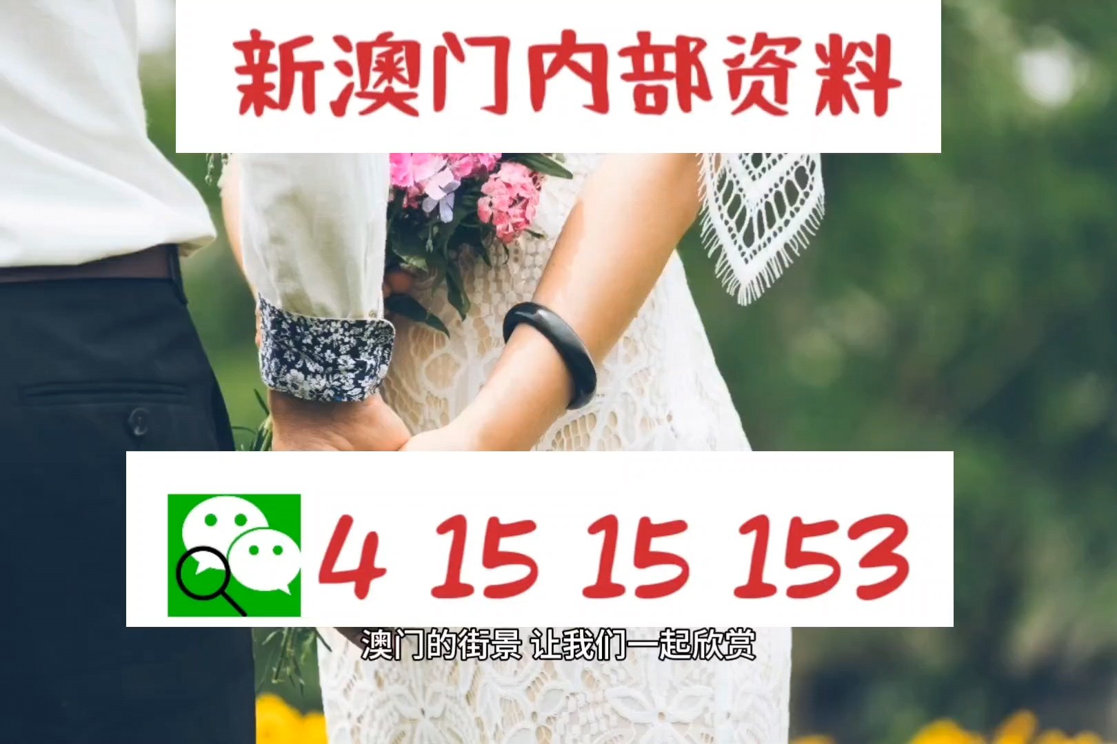 新澳门今晚必开一肖,定量解答解释定义_策略版87.893