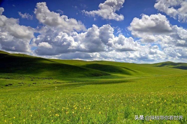 阿日昆都冷镇交通新闻更新，最新动态与进展