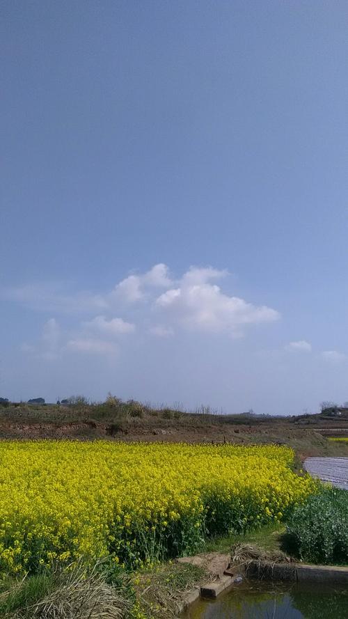 左店乡最新天气预报汇总通知