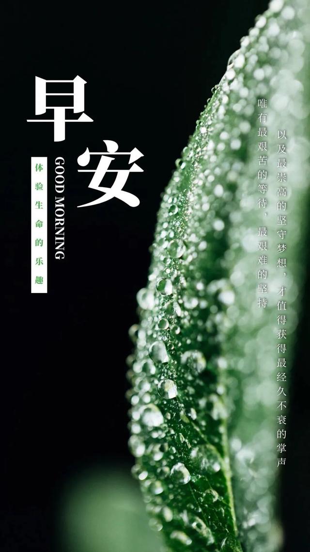 最新温馨早安图片，唤醒美好一天的魔法力量