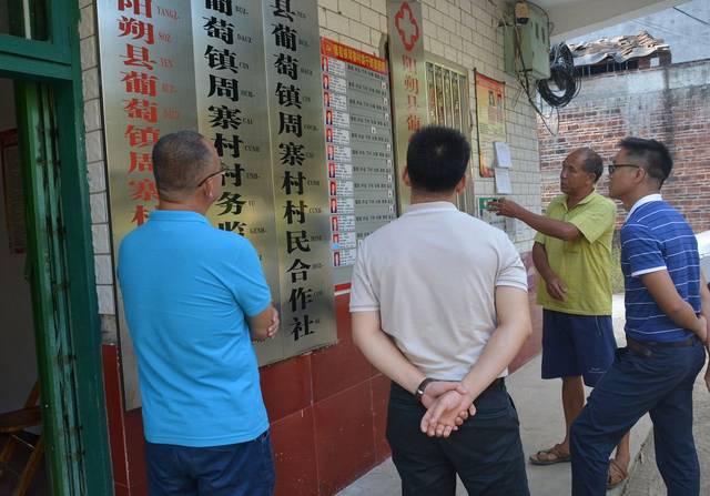葡萄村委会最新动态，乡村振兴与社区发展新篇章