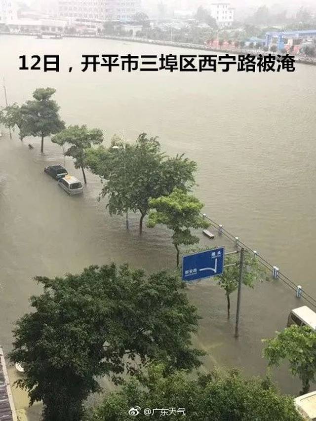 广东最新台风消息开平，全方位应对，确保安全无虞