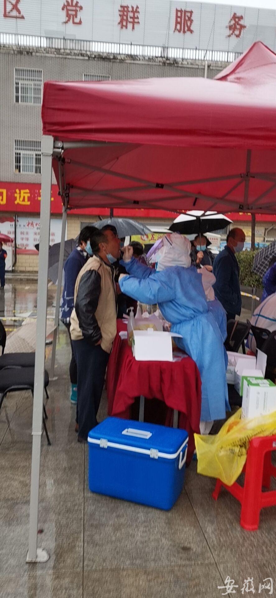 颍上县核酸检测最新结果公布，全面防控，保障人民健康安全